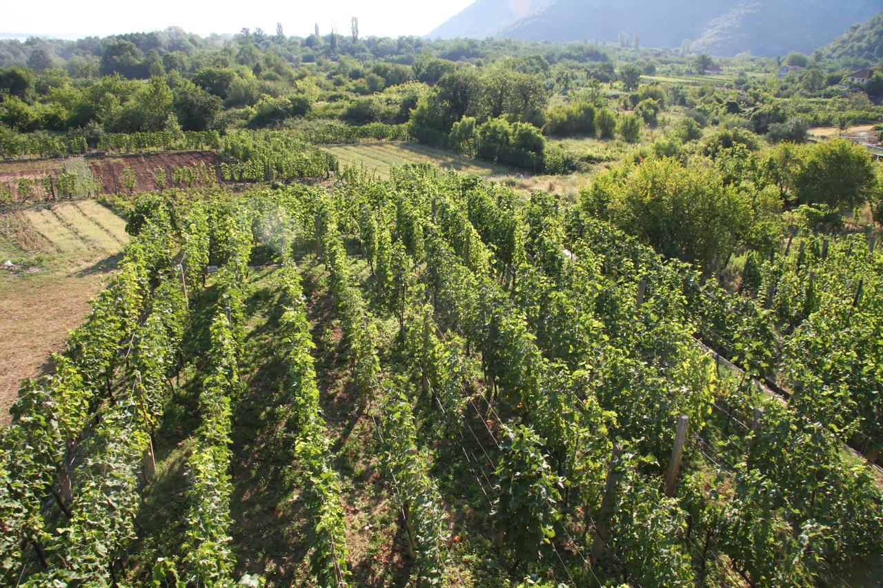 Vrzina Farm House Skadar Lake Virpazar Kültér fotó