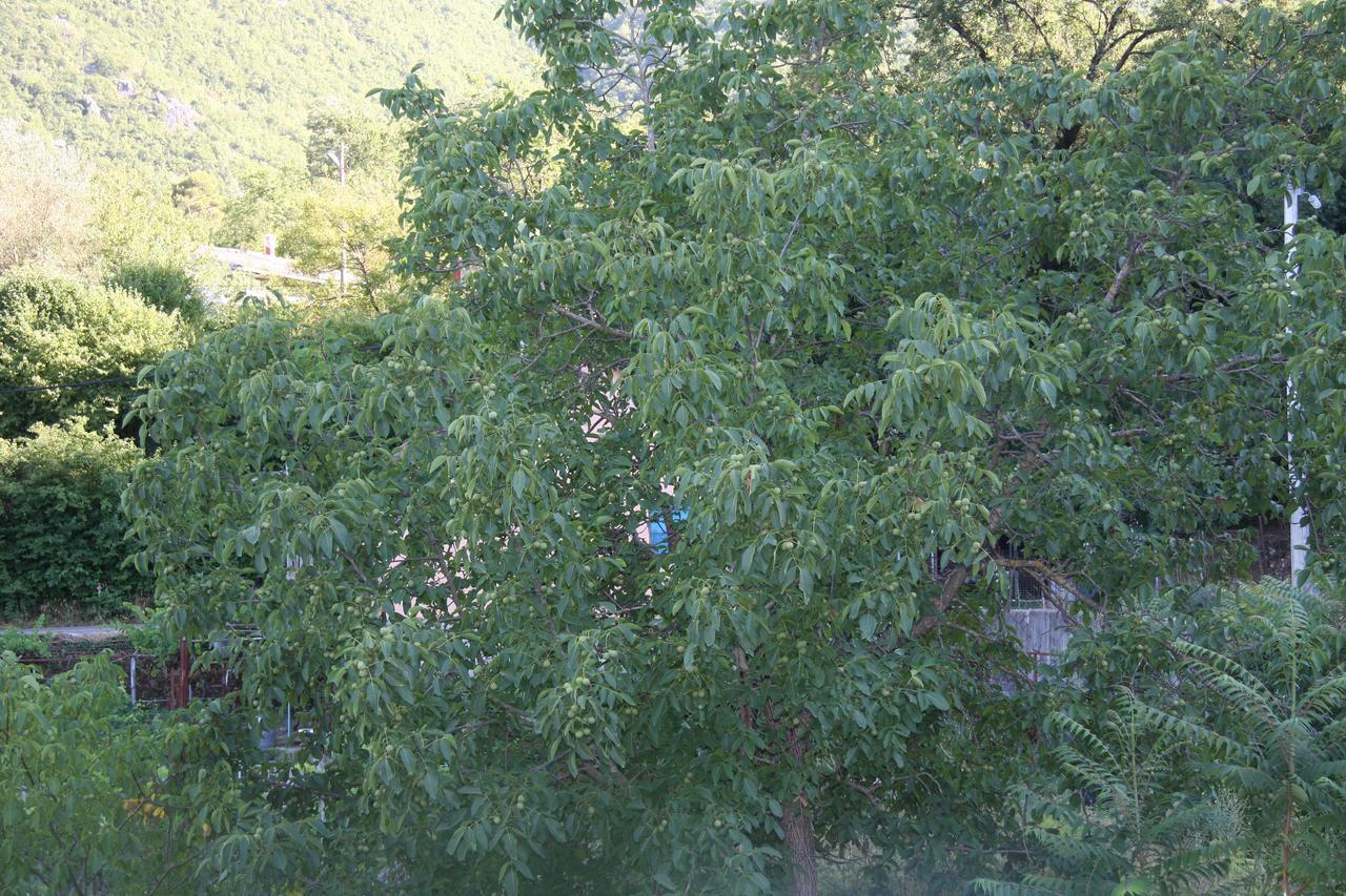 Vrzina Farm House Skadar Lake Virpazar Kültér fotó