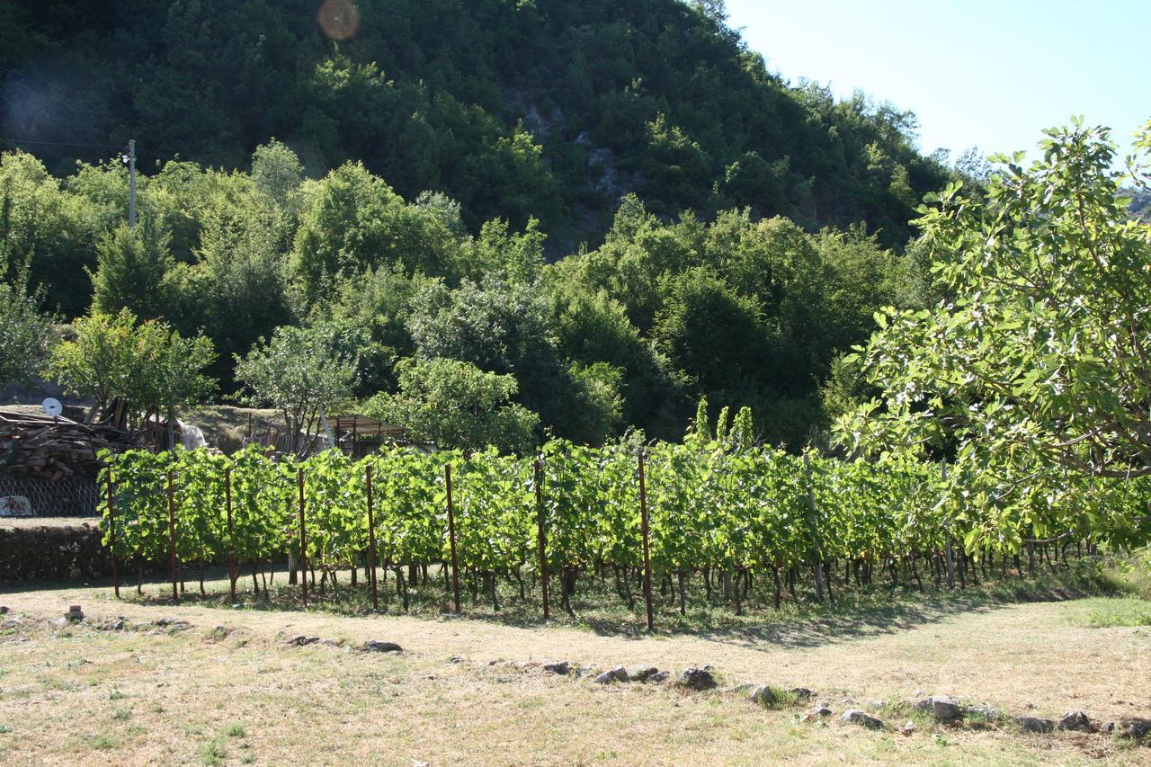 Vrzina Farm House Skadar Lake Virpazar Kültér fotó
