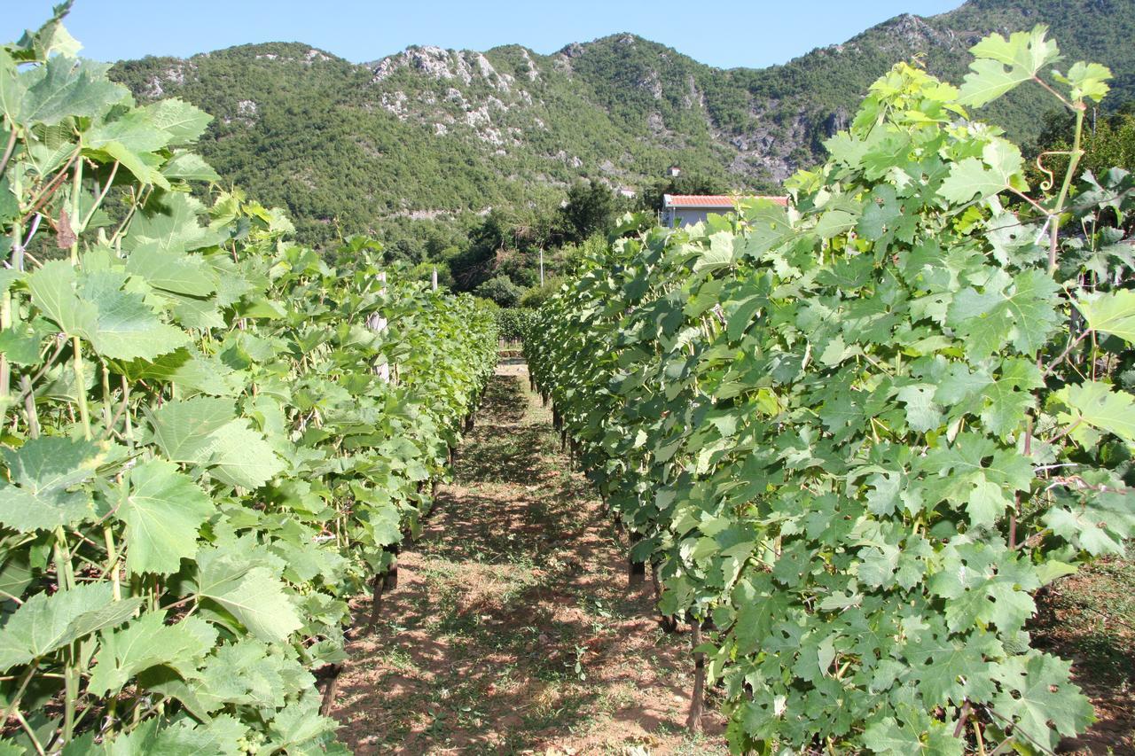 Vrzina Farm House Skadar Lake Virpazar Kültér fotó