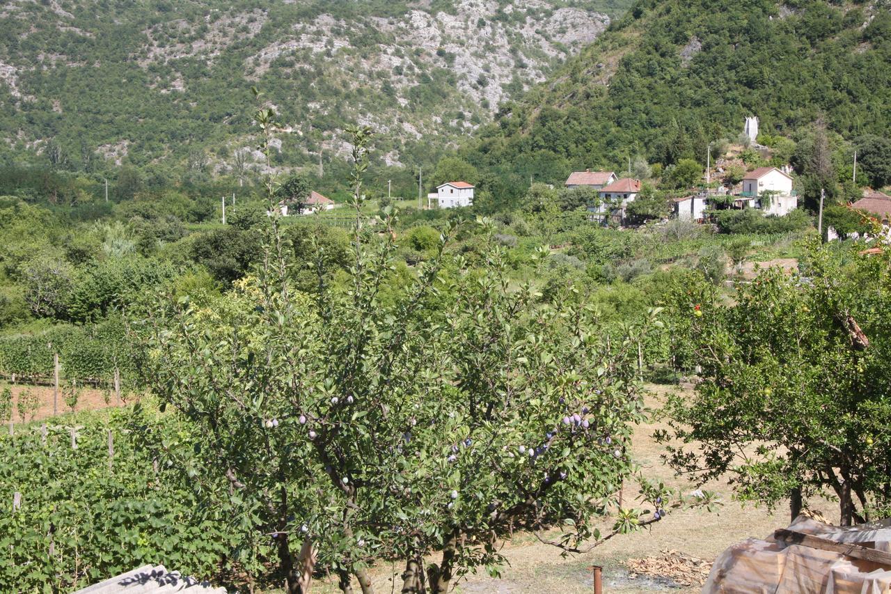 Vrzina Farm House Skadar Lake Virpazar Kültér fotó