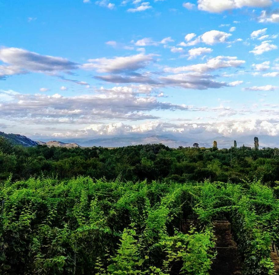 Vrzina Farm House Skadar Lake Virpazar Kültér fotó